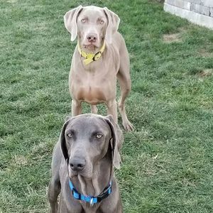 Meet your Posher, Tim